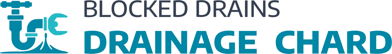 website logo